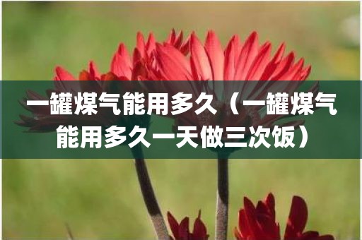 一罐煤气能用多久(一罐煤气能用多久一天做三次饭)