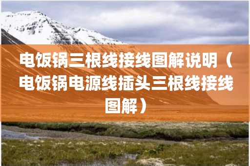 电饭锅三根线接线图解说明（电饭锅电源线插头三根线接线图解）