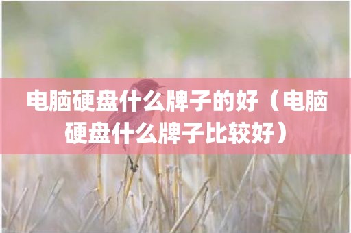 电脑硬盘什么牌子的好（电脑硬盘什么牌子比较好）
