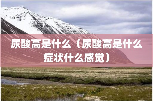 尿酸高是什么(尿酸高是什么症状什么感觉)