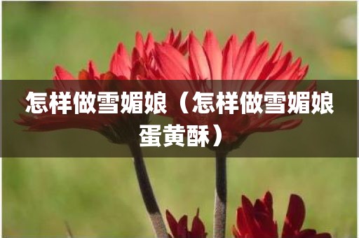 怎样做雪媚娘（怎样做雪媚娘蛋黄酥）
