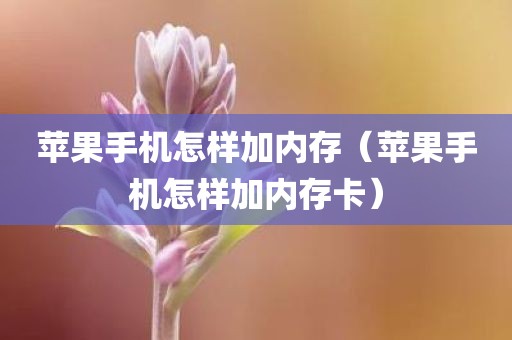 苹果手机怎样加内存（苹果手机怎样加内存卡）