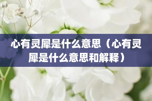 心有灵犀是什么意思（心有灵犀是什么意思和解释）