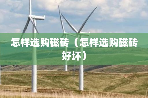 怎样选购磁砖（怎样选购磁砖好坏）