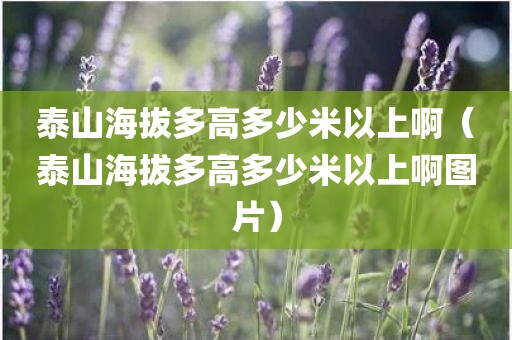 泰山海拔多高多少米以上啊(泰山海拔多高多少米以上啊图片) 泰山海拔多高多少米以上啊(泰山海拔多高多少米以上啊图片)