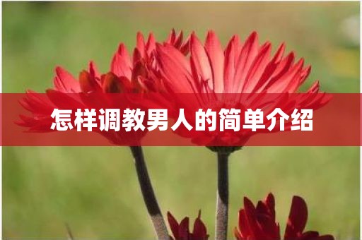 怎样调教男人的简单介绍