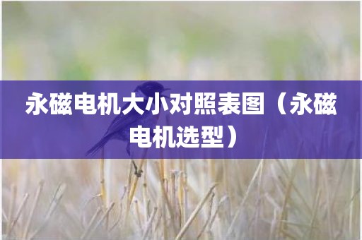 永磁电机大小对照表图（永磁电机选型）