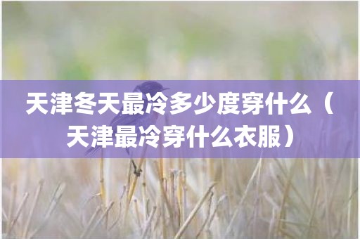 天津冬天最冷多少度穿什么（天津最冷穿什么衣服）