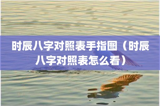 时辰八字对照表手指图（时辰八字对照表怎么看）