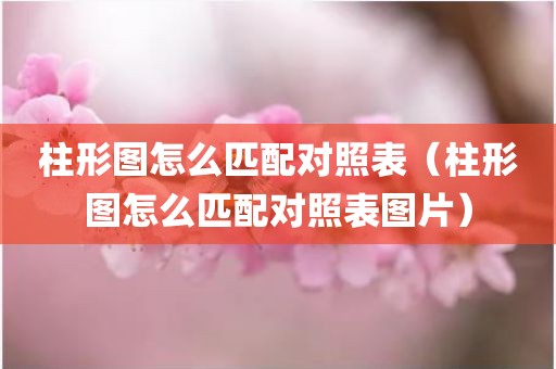柱形图怎么匹配对照表（柱形图怎么匹配对照表图片）