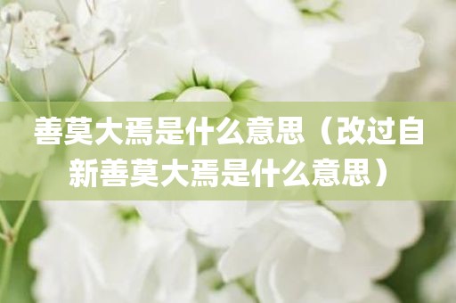 善莫大焉是什么意思（改过自新善莫大焉是什么意思）