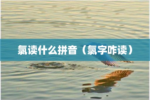 氯读什么拼音（氯字咋读）