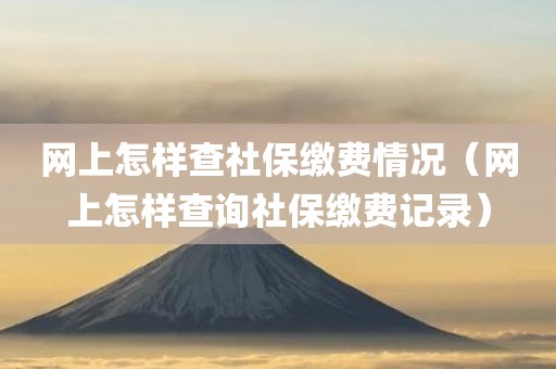 网上怎样查社保缴费情况（网上怎样查询社保缴费记录）