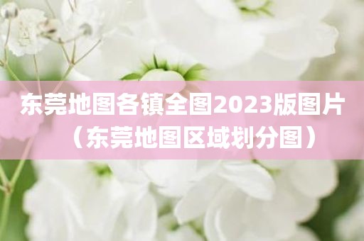 东莞地图各镇全图2023版图片（东莞地图区域划分图）