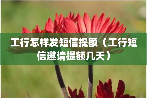 工行怎样发短信提额（工行短信邀请提额几天）