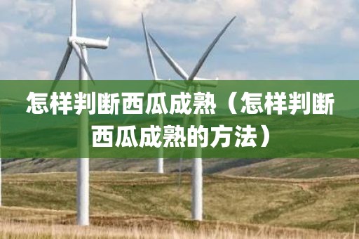 怎样判断西瓜成熟（怎样判断西瓜成熟的方法）