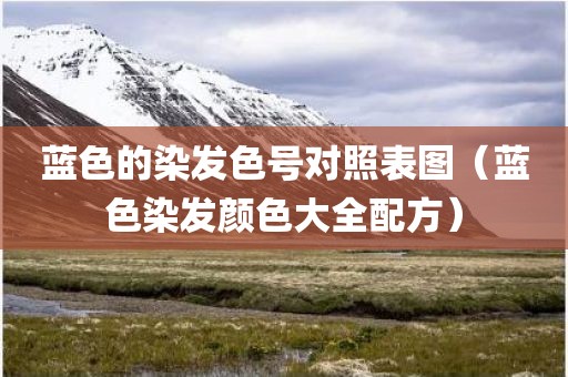 蓝色的染发色号对照表图（蓝色染发颜色大全配方）