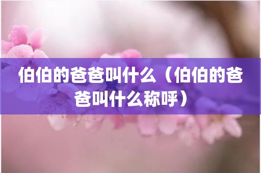 伯伯的爸爸叫什么（伯伯的爸爸叫什么称呼）