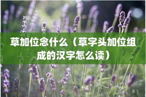 草加位念什么（草字头加位组成的汉字怎么读）