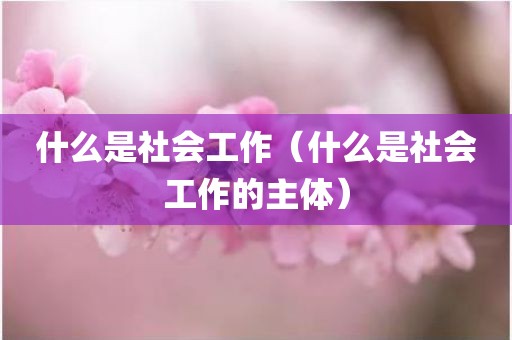 什么是社会工作（什么是社会工作的主体）