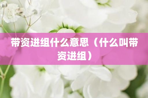 带资进组什么意思（什么叫带资进组）