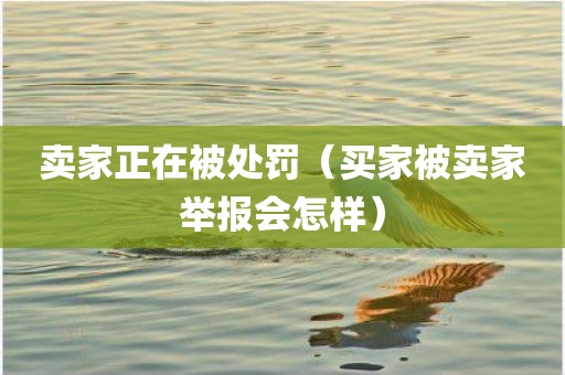 卖家正在被处罚（买家被卖家举报会怎样）