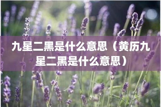九星二黑是什么意思（黄历九星二黑是什么意思）