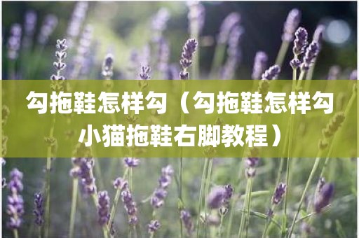 勾拖鞋怎样勾（勾拖鞋怎样勾小猫拖鞋右脚教程）