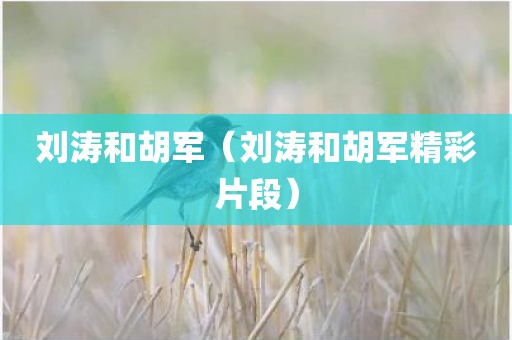刘涛和胡军（刘涛和胡军精彩片段）