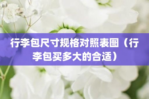 行李包尺寸规格对照表图（行李包买多大的合适）
