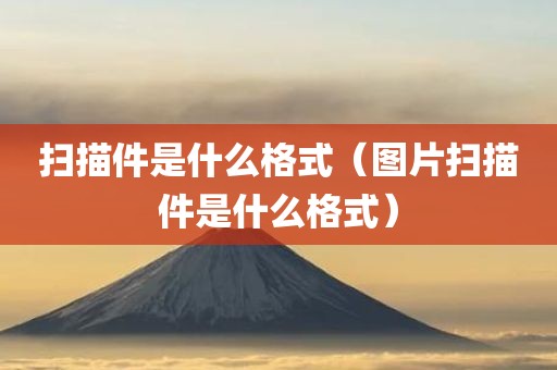 扫描件是什么格式（图片扫描件是什么格式）
