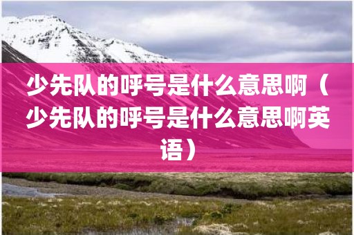 少先队的呼号是什么意思啊（少先队的呼号是什么意思啊英语）