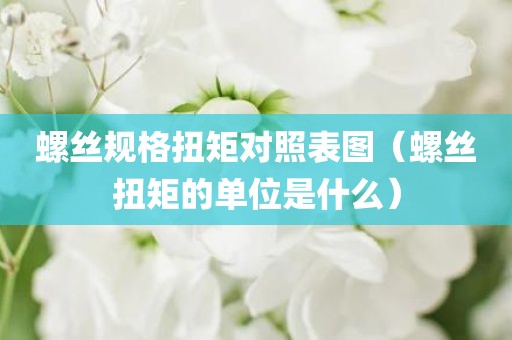 螺丝规格扭矩对照表图（螺丝扭矩的单位是什么）