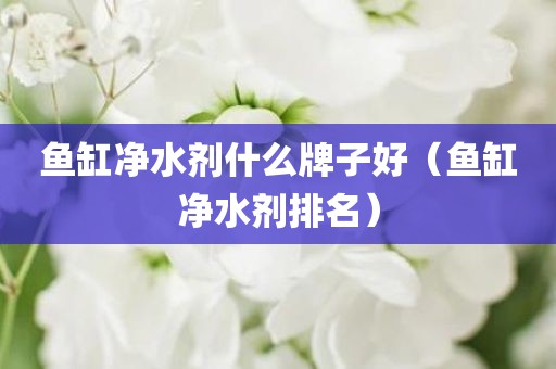 鱼缸净水剂什么牌子好（鱼缸净水剂排名）