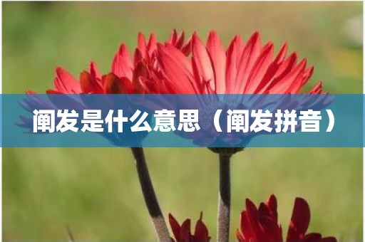 阐发是什么意思（阐发拼音）