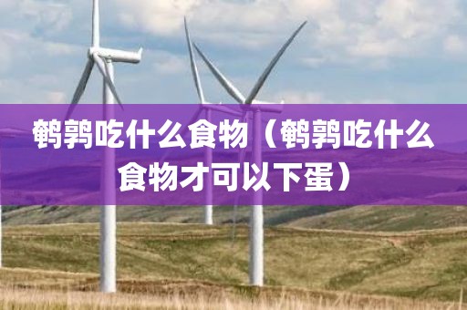 鹌鹑吃什么食物（鹌鹑吃什么食物才可以下蛋）