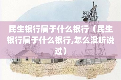 民生银行属于什么银行（民生银行属于什么银行,怎么没听说过）