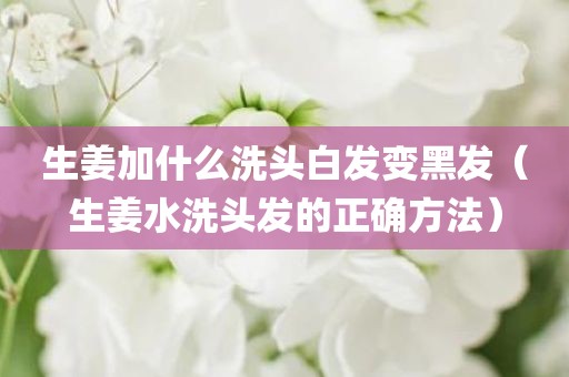 生姜加什么洗头白发变黑发（生姜水洗头发的正确方法）