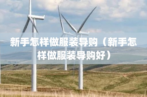 新手怎样做服装导购（新手怎样做服装导购好）