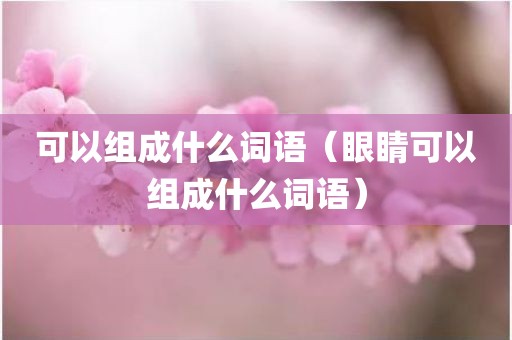 可以组成什么词语（眼睛可以组成什么词语）