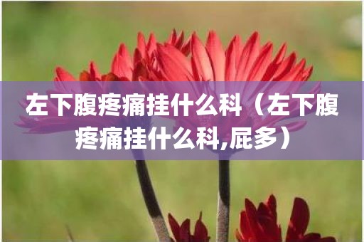 左下腹疼痛挂什么科（左下腹疼痛挂什么科,屁多）