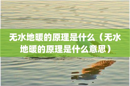 无水地暖的原理是什么（无水地暖的原理是什么意思）