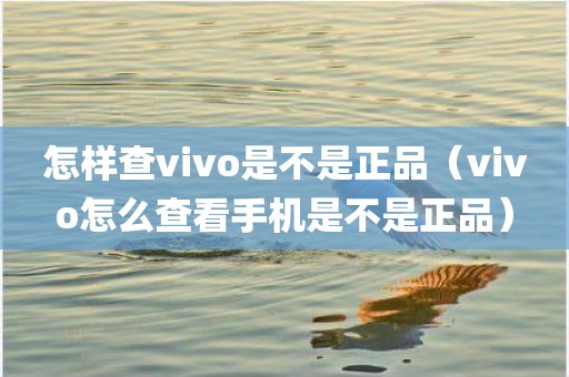 怎样查vivo是不是正品（vivo怎么查看手机是不是正品）