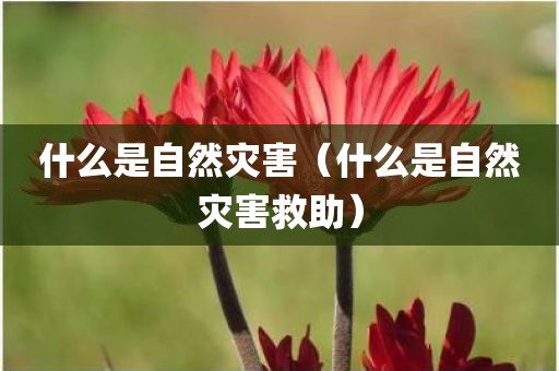 什么是自然灾害（什么是自然灾害救助）
