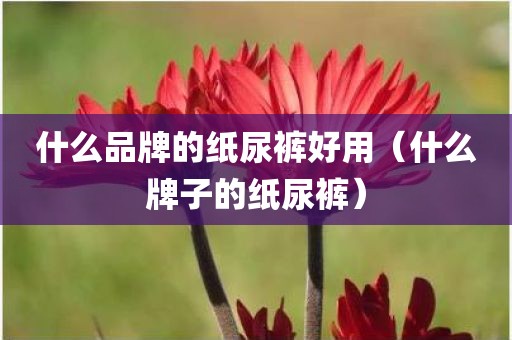 什么品牌的纸尿裤好用（什么牌子的纸尿裤）