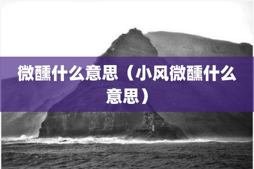 微醺什么意思（小风微醺什么意思）