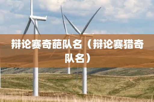 辩论赛奇葩队名（辩论赛猎奇队名）