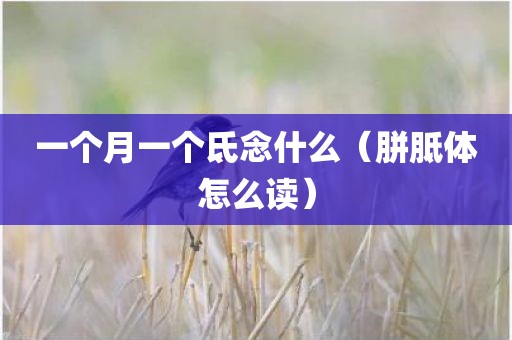 一个月一个氐念什么（胼胝体怎么读）