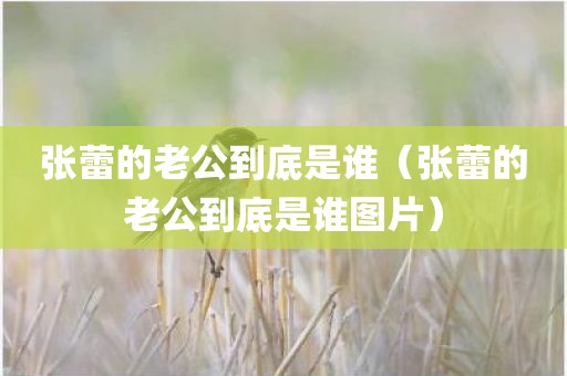 张蕾的老公到底是谁（张蕾的老公到底是谁图片）