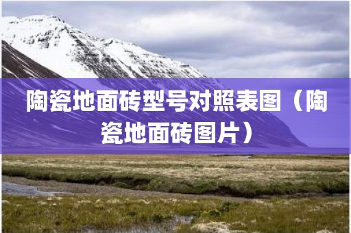 陶瓷地面砖型号对照表图（陶瓷地面砖图片）